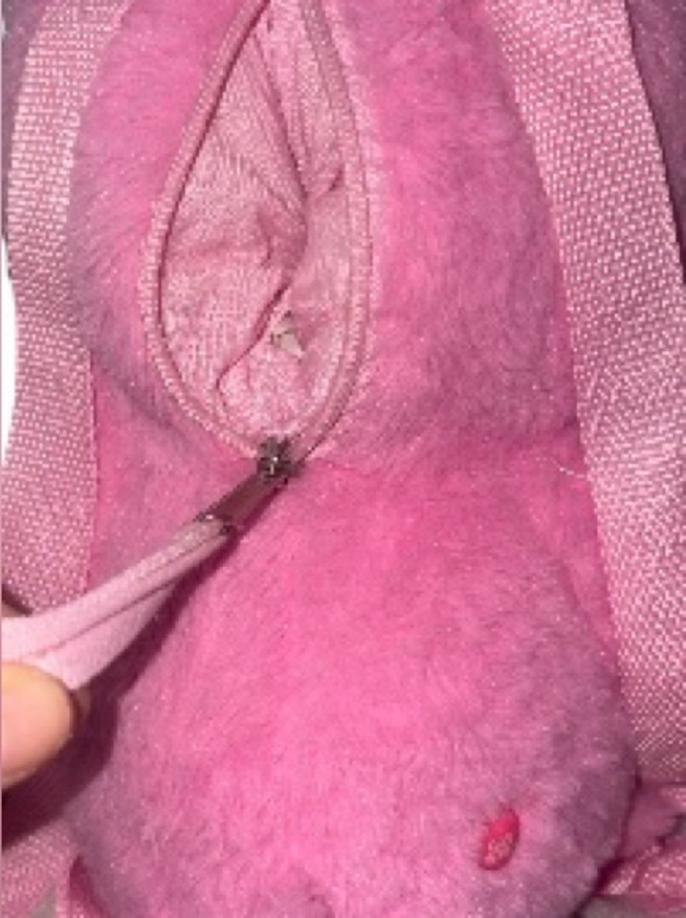 Care Bears “Cheer Bear” Pink W/ Rainbow Tummy Backpack Hideaway - Picture 6 of 7